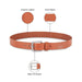 United Colors of Benetton Bradano Men’s Non-Reversible Leather Belt-Tan